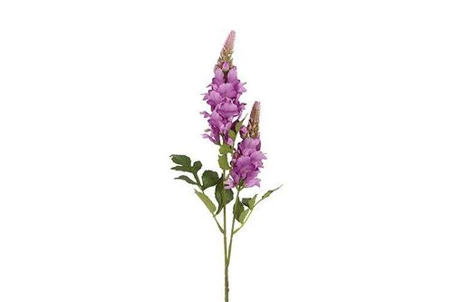 Barbara, Lupin Lilla