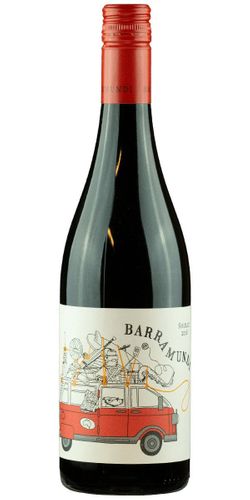 Barramundi, Shiraz 2017