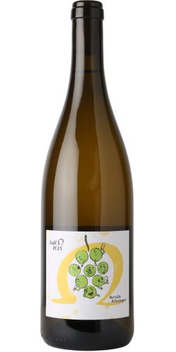 Moritz Kissinger, 0 Ohm Weiss 2023